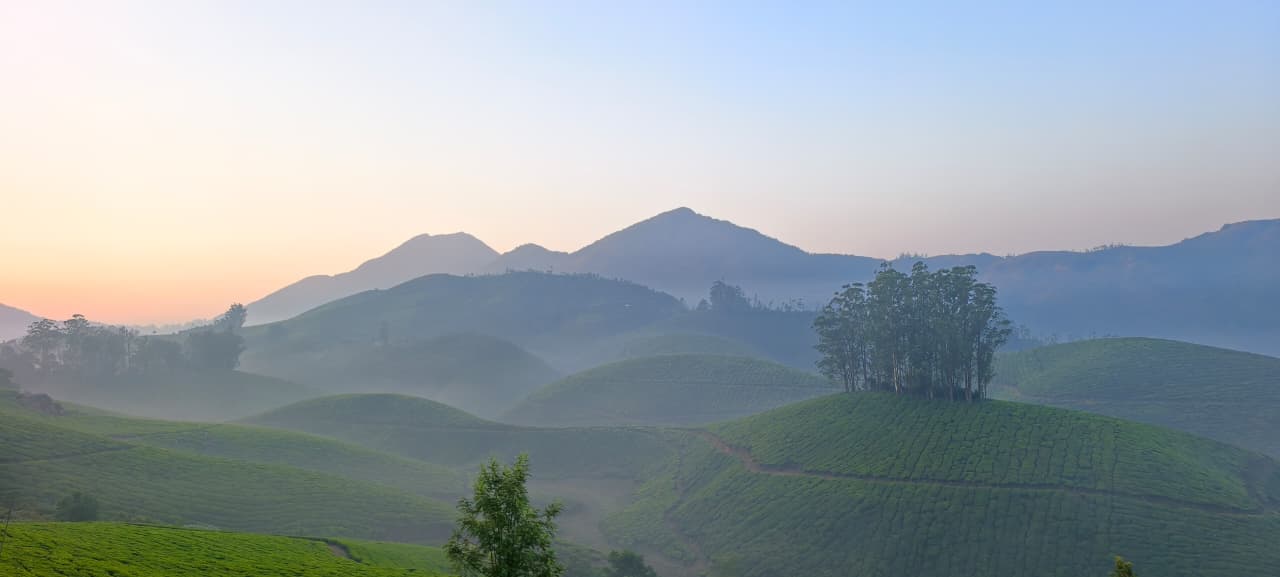 Munnar Jeep Safari Adventure